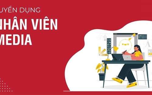 Thành Vinh Holdings tuyển Media Creator - Junior